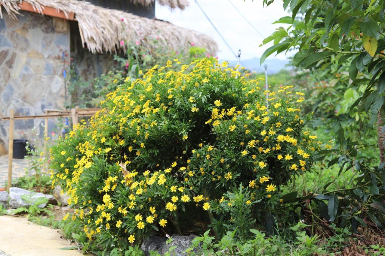 Moc Chau Peachy Garden Apartment Bagian luar foto