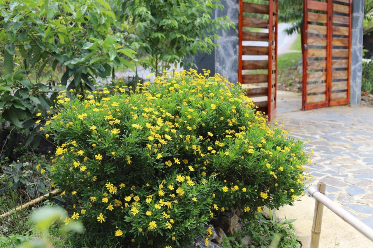 Moc Chau Peachy Garden Apartment Bagian luar foto