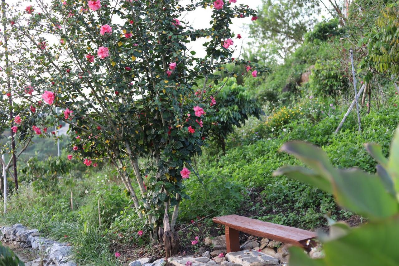 Moc Chau Peachy Garden Apartment Bagian luar foto