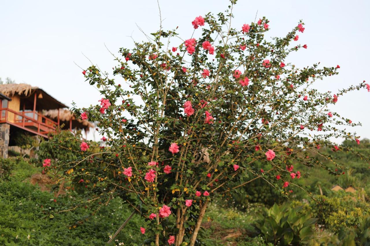 Moc Chau Peachy Garden Apartment Bagian luar foto