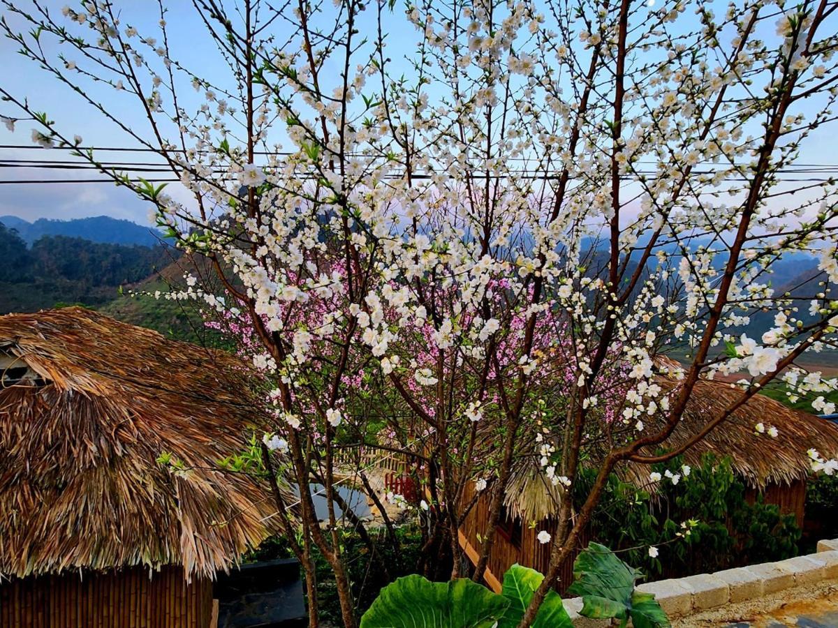 Moc Chau Peachy Garden Apartment Bagian luar foto