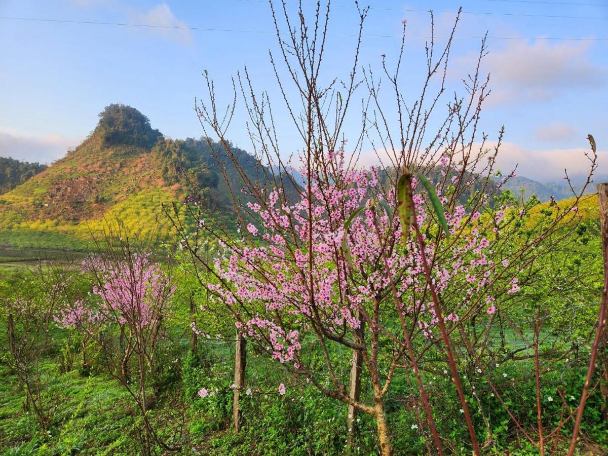 Moc Chau Peachy Garden Apartment Bagian luar foto