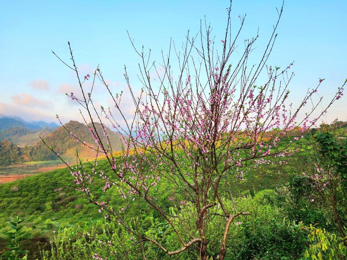 Moc Chau Peachy Garden Apartment Bagian luar foto