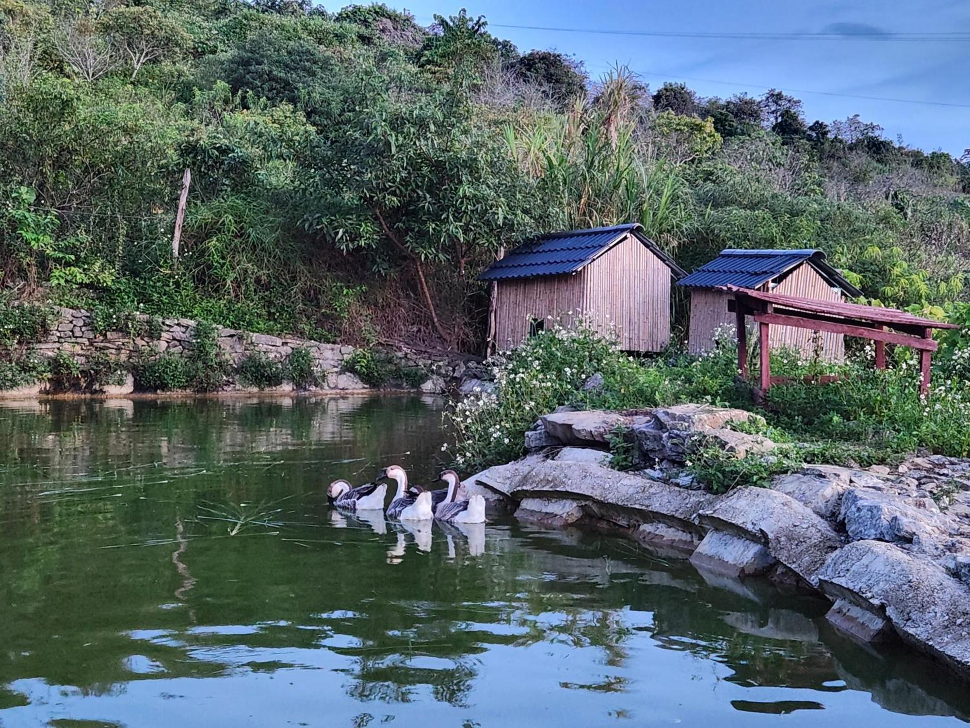 Moc Chau Peachy Garden Apartment Bagian luar foto