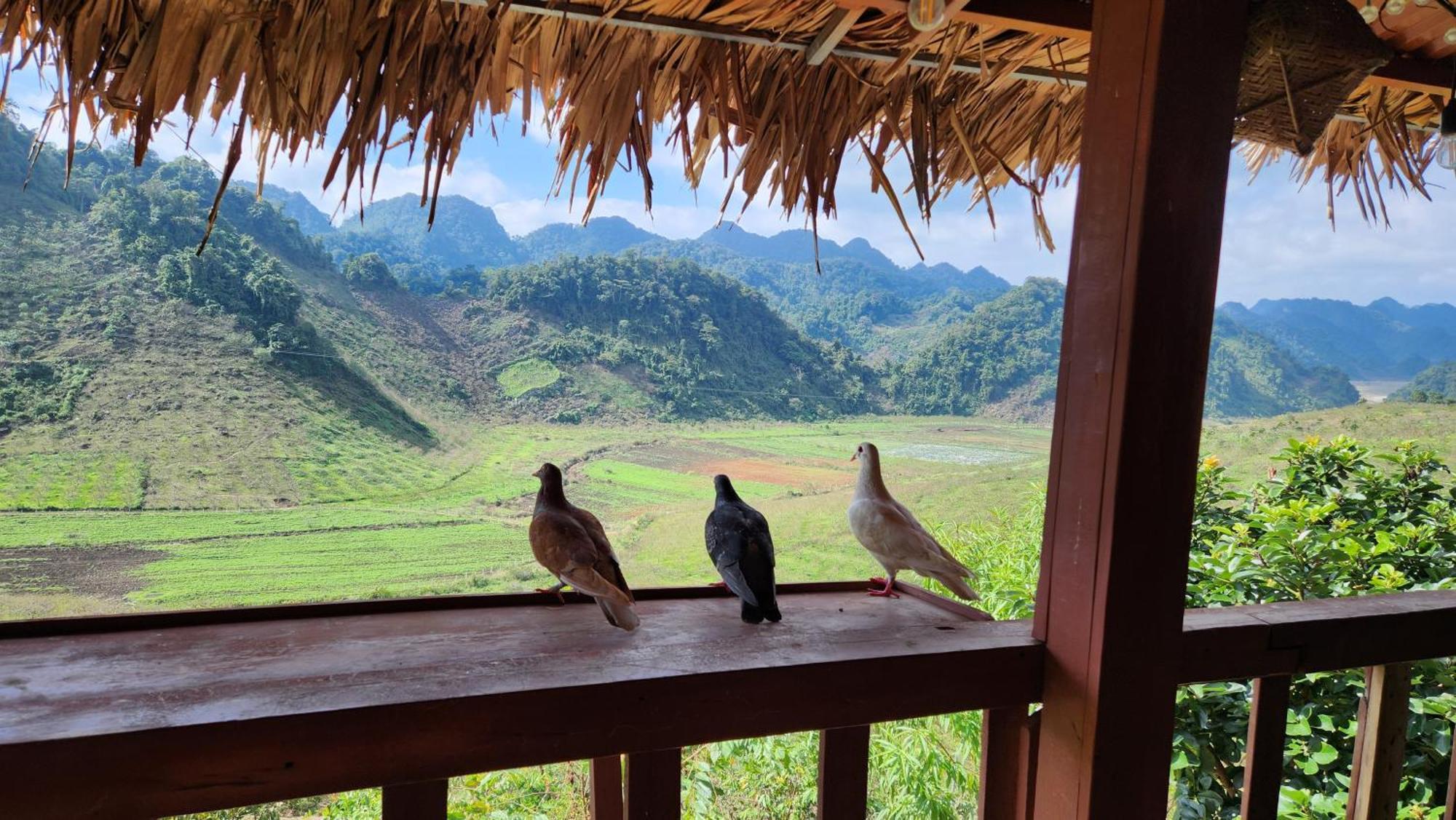 Moc Chau Peachy Garden Apartment Ruang foto
